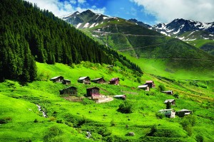 Турция Трабзон Природа Зеленина Планина