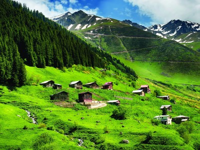 Турция Трабзон Природа Зеленина Планина